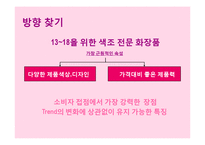 13~18세를 위한 색조화장품 브랜드 커뮤니케이션 전략(Brand Communation Strategy)-13