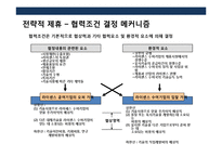 전략적 제휴 전략의 이해 성공 & 실패 사례별 분석(Cooperative Strategic Management)-19