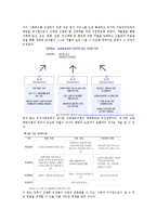 [비교정부론] 성매매 정책 비교(한국, 스페인, 네덜란드를 중심으로)-5