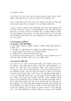 [경영정보학개론] M-Commerce(모바일 커머스)-4