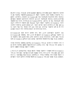 [경영정보학개론] M-Commerce(모바일 커머스)-6