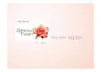 [마케팅] 젊은 층을 타겟으로 하는 spring time의 가발 마케팅 전략-1