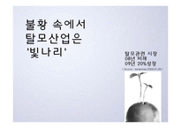 [마케팅] 젊은 층을 타겟으로 하는 spring time의 가발 마케팅 전략-5