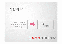 [마케팅] 젊은 층을 타겟으로 하는 spring time의 가발 마케팅 전략-15