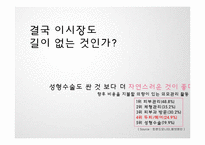 [마케팅] 젊은 층을 타겟으로 하는 spring time의 가발 마케팅 전략-19