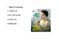 [소비자행동론] 소비자행동 분석을 기초로 한 인터넷 광고전략 수립-2