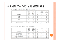 [소비자행동론] 소비자행동 분석을 기초로 한 인터넷 광고전략 수립-10