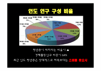 [해외시장조사론] 인도 자동차산업 분석 및 한국의 발전 방향-7