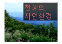 [관광개발의이해] 전라남도 관광 개발 연구-4