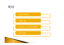 [기술창업경영] 자전거프레임 LED 사업계획서-2