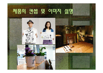 [마케팅전략] 삼성의 하이브리드 카메라 NX-100 마케팅 전략 제안-5