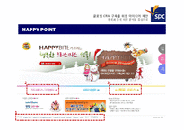 글로벌 CRM 구축을 위한 아이디어 제안(한국과 중국시장 분석을 중심으로)-18