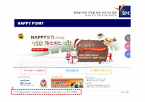 글로벌 CRM 구축을 위한 아이디어 제안(한국과 중국시장 분석을 중심으로)-19