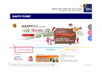 글로벌 CRM 구축을 위한 아이디어 제안(한국과 중국시장 분석을 중심으로)-20