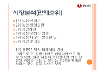 [광고기획] 농심 신라면 광고 기획-8