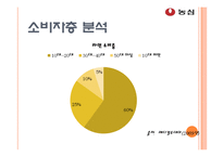 [광고기획] 농심 신라면 광고 기획-10