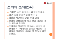 [광고기획] 농심 신라면 광고 기획-11