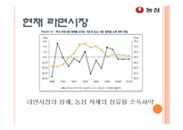 [광고기획] 농심 신라면 광고 기획-12