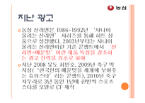 [광고기획] 농심 신라면 광고 기획-13