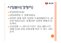 [광고기획] 농심 신라면 광고 기획-14