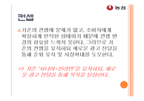 [광고기획] 농심 신라면 광고 기획-18