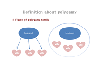 Polygamy in Islam(영문)-9