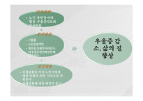 [노인복지론] 노인우울증-16