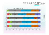 [광고홍보연구방법론] Media Pole(미디어폴) 광고전략 제안-19