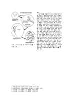 [식품조리과학및실험] 아이스크림-8
