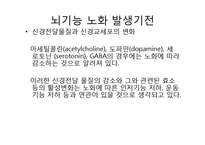 뇌기능 노화에 따라 발생하는 증상과 영양관리-3