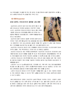 삼성전자 엘지전자 마케팅전략 분석-15
