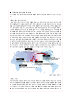 다날 기업분석 성공사례-12
