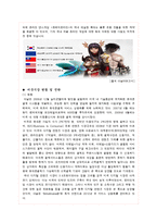 다날 기업분석 성공사례-13
