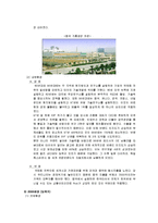 한국타이어 마케팅전략 분석 SWOT/STP/4P-10