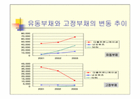 [재무구조분석] 다음커뮤니케이션, NHN, 네오위즈 재무제표분석-5
