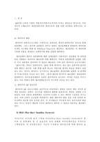 [경영정보시스템] 월마트의 정보시스템 분석-5