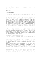 [국제기업환경론] 농심‘신라면’ 중국진출사례분석-17
