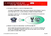 [경영정보시스템] 다임러크라이슬러의 비용절감-20