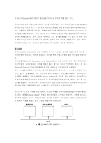 지니에 대해서 레포트-2