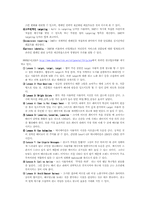 [인터넷비즈니스] 인터넷광고 `더블클릭`의 문제점과 해결방안-2