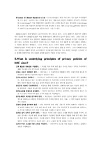 [인터넷비즈니스] 인터넷광고 `더블클릭`의 문제점과 해결방안-3