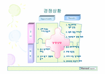 [재무분석] 한솔제지 재무제표분석-14