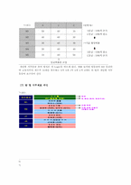 [인적자원관리] 직무성과급형 연봉제 도입을 위한 직무분석과 평가-한국타이어 사례-9