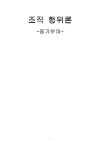 [조직행위론] 동기부여의 이론-19