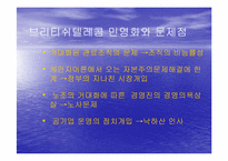 BT와 KT민영화 레포트-4