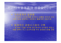 BT와 KT민영화 레포트-9