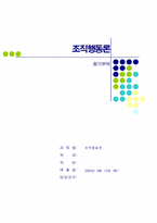 조직행동론(동기부여)-1