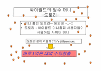 [인터넷기업] 싸이월드 성장배경과 인기비결 및 다른포털사이트와 비교-7