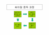[인터넷기업] 싸이월드 성장배경과 인기비결 및 다른포털사이트와 비교-8