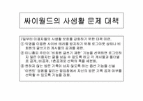 [인터넷기업] 싸이월드 성장배경과 인기비결 및 다른포털사이트와 비교-10